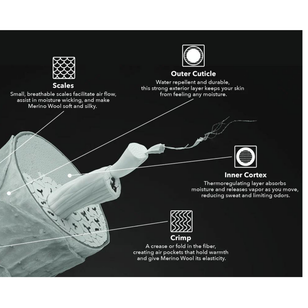 Unlocking the Science of Merino Wool Fibers